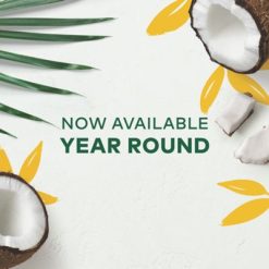 Alternative view of Keurig K-Cup Coffee Pods Island Coconut Coffee